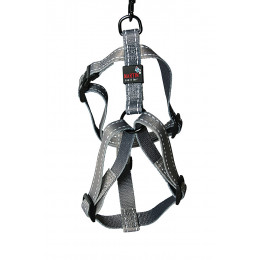 Harnais pour chien Reflex gris Longueur 70/90cm