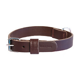 Collier pour chien bords ronds marron 60cm