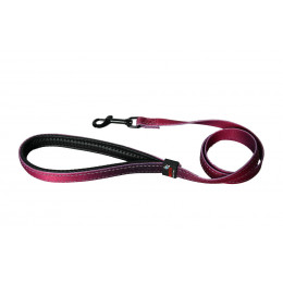 Laisse pour chien Reflex bordeaux 25mmx100cm