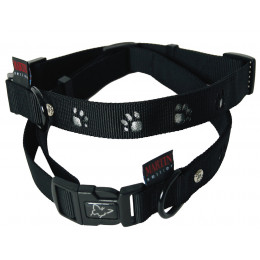 Collier pour chien Pattes silver en nylon 30/45cm