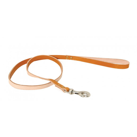 Laisse pour chien MARTIN SELLIER Rive Carabine naturel