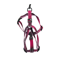 Harnais pour chien Reflex bordeaux Longueur 70/90cm