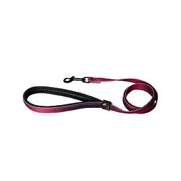 Laisse pour chien Reflex bordeaux 25mmx100cm