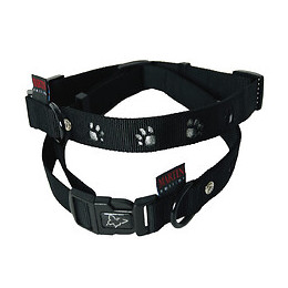 Collier pour chien Pattes silver en nylon 30/45cm