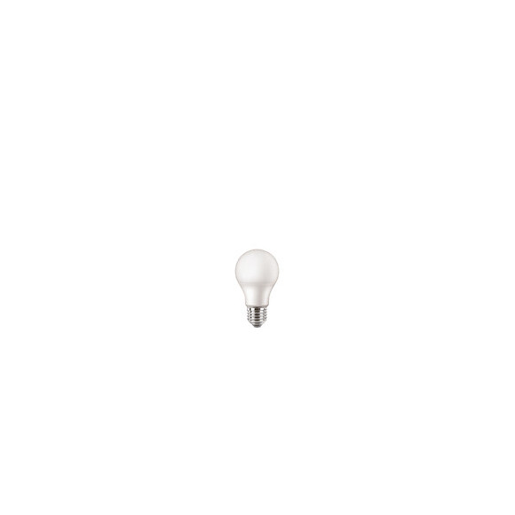Ampoule X2 E27 Standard 60W Blanc froid Dépolie
