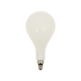 Ampoule deco big size LED E27 3200LM 4000k 24W