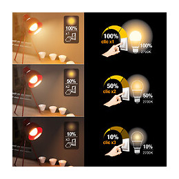 Ampoule led standard A60 dimmable par switch culot E27 10W 2700K