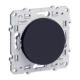 Odace, va-et-vient Anthracite, 10 A, à vis