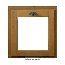 Abattant exo 45x40cm châssis 1 vantail