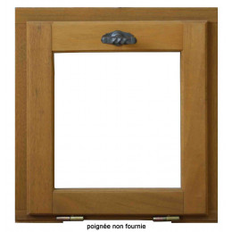 Abattant exo 45x40cm châssis 1 vantail