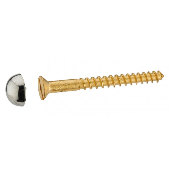 Lot de 2 vis cache-tête 6x60mm chromées