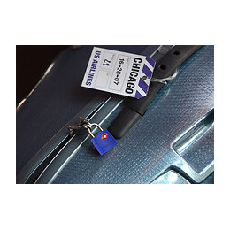 2 cadenas valises certifiés TSA 30mm