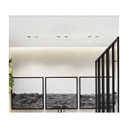 Grande Rosace Avec Découpes Classiques R24