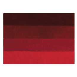 Tapis de bain Four rouge 60x90cm