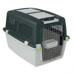 Pania transport IATA