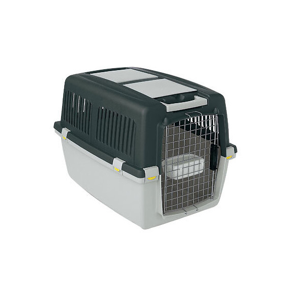 Pania transport IATA