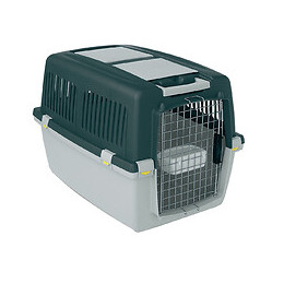 Pania transport IATA