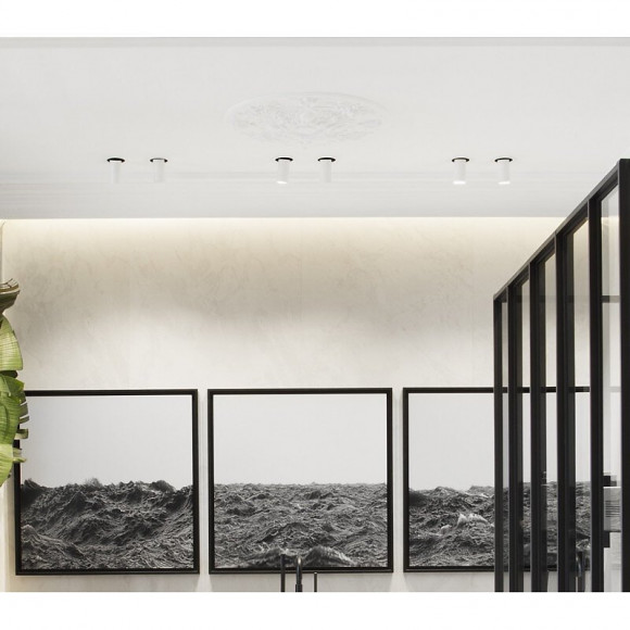 Grande Rosace Avec Découpes Classiques R24