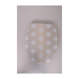 Abt décor doré thermodur charnière inox frein de chute déclips 1B