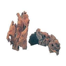 Décor racine paletuvier