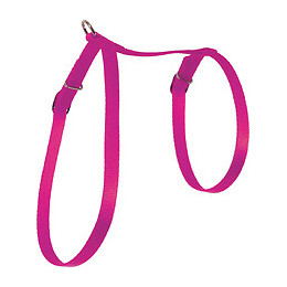Harnais nylon chat fuschia
