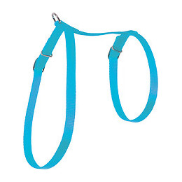 Harnais nylon chat turquoise