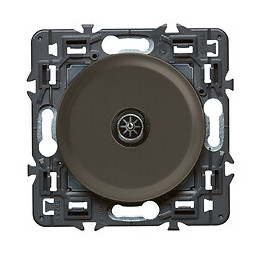 Prise TV simple mâle Céliane - Graphite