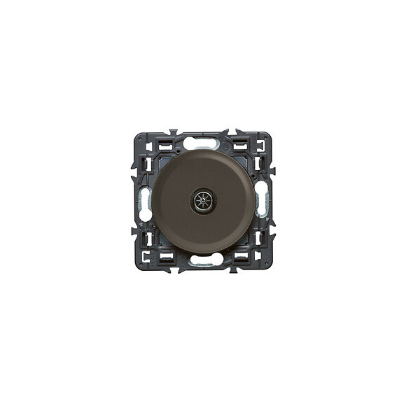 Prise TV simple mâle Céliane - Graphite