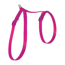 Harnais nylon chat fuschia