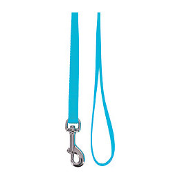 Laisse nylon chat turquoise