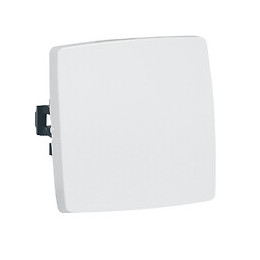 Interrupteur ou va-et-vient pour moulure Appareillage Saillie - blanc