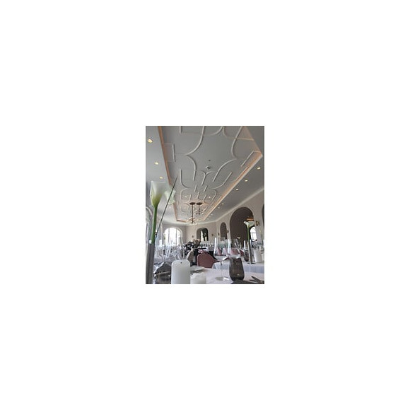 Cimaise Flexible Classique Aux Courbes Rustiques Px120f