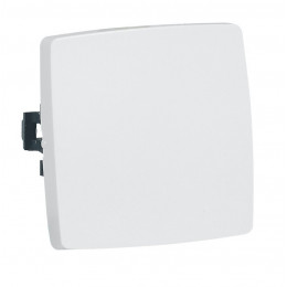 Interrupteur ou va-et-vient pour moulure Appareillage Saillie - blanc