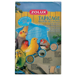 6 Feuilles sablées pour oiseaux 40x25