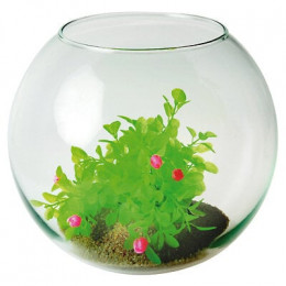 Boule soufflée 280 5.5L