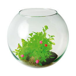 Boule soufflée 280 5.5L