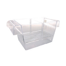 Pondoir flottant 3 en 1