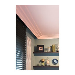 Profil Moderne Et Épuré C392