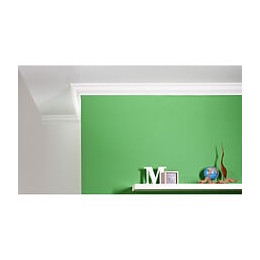 Profil De Base Simple Aux Courbes Gracieuses Cb503