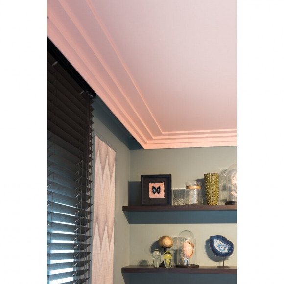 Profil Moderne Et Épuré C392