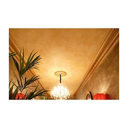 Grande Rosace Avec Découpes Classiques R52