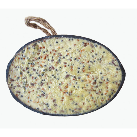 Demi-noix graisse et insectes caillard