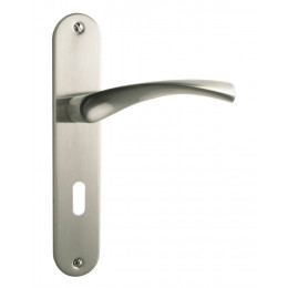 Garniture sur plaque Léa alu nickel mat clé