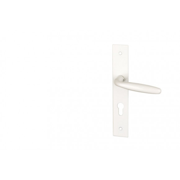 Garniture sur plaque bristol alu blanc cylindre