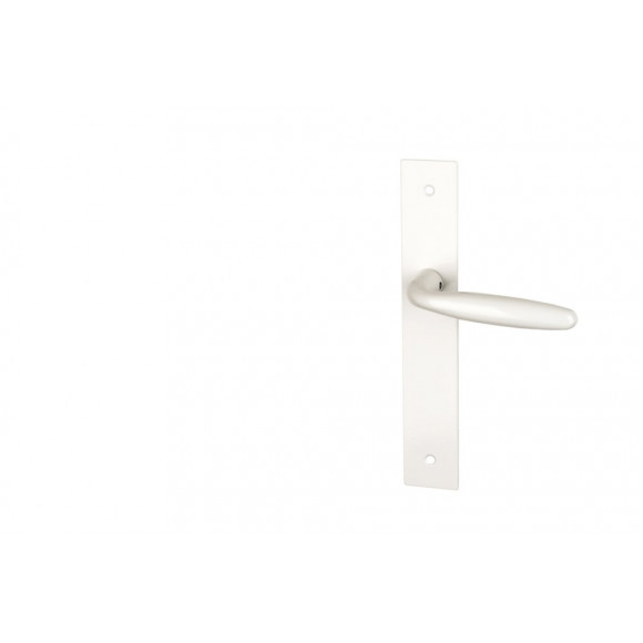 Garniture sur plaque bristol alu blanc bec de cane