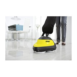 Aspiro-cireuse FP 303