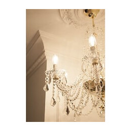 Rosace Ronde Ornée De Feuilles Et De Fleurs R17