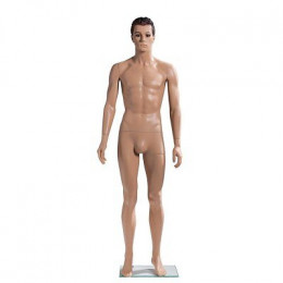 Mannequin de présentation homme
