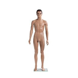 Mannequin de présentation homme
