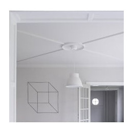 Anneau De Plafond Idéal Pour Rosace R66